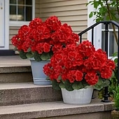 levne Umělé květiny-6 větví, kytice z umělých pelargónií odolných proti UV záření, 30 stonků/větví, zářivě červené květy s bujným zeleným olistěním, realistická plastová dekorace do interiéru/venkovního prostředí,