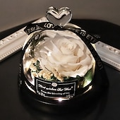 levne kutilské umění-Konzervovaná pravá růže v krásném kreativním designu srdce skleněná kopule růžový dárek pro ni