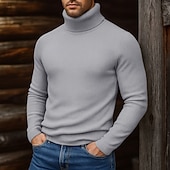 cheap Men's Pullover Sweater-Men's Turtleneck Sweater Pullover Sweater Jumper Cropped Sweater Ribbed Knit Regular Tops Knit Plain Turtleneck Modern Contemporary Casual Casual Work Clothing Apparel Fall Winter Wine Black S M L