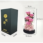 olcso Dekoratív fények-Üveg Rózsa Örökre Örök Kristály Virág Felkeltett Rózsák Üveg Dóm alatt Ajándékok Nőknek Anyának Nagymamának Feleségnek Nővérének