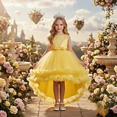 voordelige Bloemenmeisjes Jurken-Bloemenmeisjesjurk, communiejurk, formele jurk voor meisjes, trouwkleding, feestkleding, formele mode voor bruiloften, schattige patchwork, mesh, effen kleur, mouwloos, ronde hals, geel, roze, 4 jaar
