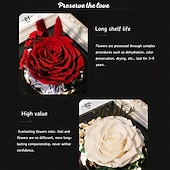 levne kutilské umění-Konzervovaná pravá růže v krásném kreativním designu srdce skleněná kopule růžový dárek pro ni