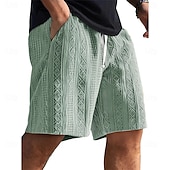  Ανδρικά Καλοκαιρινό σορτς Σορτς παραλίας Casual σορτς Σορτς με υφή Ζακάρ Κορδόνι Ελαστική μέση Συμπαγές Χρώμα Άνεση Αναπνέει Μήκος γόνατος Καθημερινά ΕΞΩΤΕΡΙΚΟΥ ΧΩΡΟΥ Streetwear Διακοπές Μοντέρνα