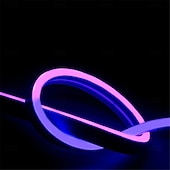 halpa Kauko-ohjaus-1 sarja 3/5/10 m 24 V rgbic neonvalo led-älykäs neonköysivalo ulkokäyttöön vedenpitävä kaukosäädin &amp;sovelluksen ohjaus musiikin synkronointi monivärinen huoneen sisustus valaistus