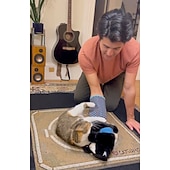 cheap Cat Toys-Cat Wrestling Glove Puppet Toy  Interactive Hand Mitt with Durable Protective Sleeve and Catnip - Play &amp; Enrichment