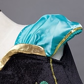 Недорогие Костюмы для девочек-Снежная Королева Морозный Сказка Принцесса Анна Платье девушки цветка Костюм для тематической вечеринки Тюль Платья Косплей for Девочки Детские Рождество Карнавал Маскарад Свадьба Свадебный гость