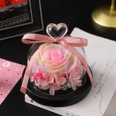 levne kutilské umění-Konzervovaná pravá růže v krásném kreativním designu srdce skleněná kopule růžový dárek pro ni