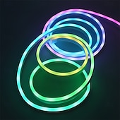 cheap Smart Strip Lights-1Set 5V RGBIC Neon Strip Light 1M 2M 3M 5M 10m USB Waterproof Flexible Ribbon Tape Neon Lights With APP Bluetooth Remote Control For Home Decor