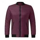 cheap Men's Downs &amp; Parkas-Men's Winter Coat Puffer Jacket Padded Pocket Quilted Polyster Casual Daily Outdoor Regular Fashion Streetwear Thermal Warm Winter Solid Color Blue Dark Grey Wine Black Puffer Jacket