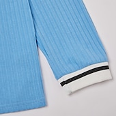 economico magliette di base-Per uomo Canotta Muscolare Maglietta Manica Lunga Scollo a V Henley Estate Primavera Autunno Semplice Contemporaneo Moderno Casual Blocco di colore Bottoni Base Casa Streetwear Casuale Blu Verde Viola