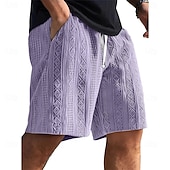  Ανδρικά Καλοκαιρινό σορτς Σορτς παραλίας Casual σορτς Σορτς με υφή Ζακάρ Κορδόνι Ελαστική μέση Συμπαγές Χρώμα Άνεση Αναπνέει Μήκος γόνατος Καθημερινά ΕΞΩΤΕΡΙΚΟΥ ΧΩΡΟΥ Streetwear Διακοπές Μοντέρνα