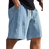  Ανδρικά Καλοκαιρινό σορτς Σορτς παραλίας Casual σορτς Σορτς με υφή Ζακάρ Κορδόνι Ελαστική μέση Συμπαγές Χρώμα Άνεση Αναπνέει Μήκος γόνατος Καθημερινά ΕΞΩΤΕΡΙΚΟΥ ΧΩΡΟΥ Streetwear Διακοπές Μοντέρνα