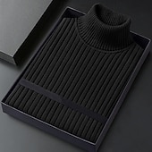 ieftine pulover pentru bărbați-Bărbați Pulover cu gât rotic Pulover pulover Striat Tricotat Topuri obișnuite Tricotat Striat Simplu Gât Înalt De Bază Păstrați-vă cald Casual Purtare Zilnică Îmbrăcăminte Iarnă Albastru piscină Negru