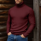 cheap Men's Pullover Sweater-Men's Turtleneck Sweater Pullover Sweater Jumper Cropped Sweater Ribbed Knit Regular Tops Knit Plain Turtleneck Modern Contemporary Casual Casual Work Clothing Apparel Fall Winter Wine Black S M L