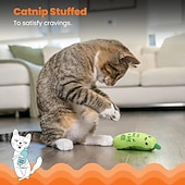 economico Giochi per gatti-giocattolo dentale per gatti croccante con cetriolo e erba gatta