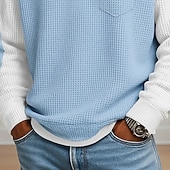 abordables Polo clásico para hombre-Hombre Camisetas polo con diseño de gofre Polo Casual Formal Cuello con banda Manga Larga Moda Color sólido Con Texturas Bloque de Color Botones Otoño Primavera &amp; Otoño Otoño invierno Ajuste regular