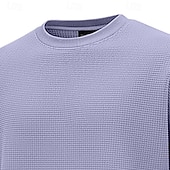 abordables Sudaderas Básicas_-Hombre Sudadera Sudadera con estampado de gofres Sudadera Con Capucha Blanco Cuello Barco Plano Con Texturas Casual Diario Deporte Ropa de calle Fresco Ropa deportiva Primavera &amp; Otoño Ropa Sudaderas