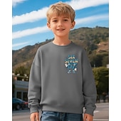 cheap Boy's 3D Funny Humor-Unisex Boys' 3D Graphic Funny Slang 67 Sweatshirt Pullover Long Sleeve 3D Print Spring Fall Active Fashion Streetwear Kids 4-12 Years Crew Neck Casual Daily Outdoor Regular Fit
