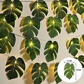 זול מופעל באמצעות בטריות-מחרוזת אור LED עם סוללות AAA 2 מטר/3 מטר - 20 נוריות, 20 נוריות, 20 נוריות, 20 נוריות, 3 ...40