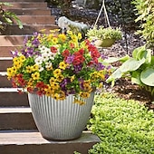 abordables Sztuczne kwiaty-10 Bundles Artificial Flowers Fake Plants - Fake Flowers Outdoor Artificial Plants Flowers Eucalyptus Leaves DIY Wedding Garden Porch Window Box Pot Planters Decor Room Decor Home Decor Valentine's Day