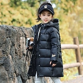 abordables Veste en duvet et parka pour filles-Doudoune Enfants Fille Couleur Unie Sports Avec Poches Extérieur Polyester Manteau Vêtements d'extérieur 5-12 ans Hiver Noir