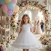 tanie Suknie dla dziewczynki z kwiatami-Sukienka dla dziewczynki z kwiatami Dla dziewczynek Suknia formalna Strój ślubny Impreza Ślub Formalny Godny podziwu Księżniczka Piękny Sukienka do Pierwszej Komunii Niejednolita całość Zamek