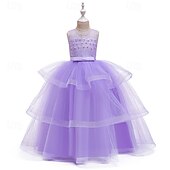 economico Abiti da Fiori-Abito da damigella d'onore bambina Ragazze Abito formale Abiti da sposa Feste Matrimonio Formale Adorabile Formale Principessa Traforato Rete Tinta unica Senza Maniche Girocollo Blu Rosa Dai 4 anni