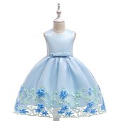 economico Vestiti per serate-Bambini Ragazze Vestito da Festa Tinta unica Senza Maniche Compleanno festa di Natale Ricamato Principessa Dolce Poliestere Midi Vestito da Festa Estate Primavera 4-12 Anni Giallo Rosa Azzurro cielo