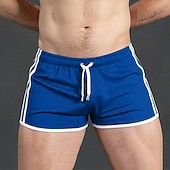 cheap Casual Shorts-Men's Active Shorts Shorts Casual Shorts Mesh Plain Solid Quick Dry Breathable Short Outdoor Vacation Gym Sports Sport Blue Black Micro-elastic