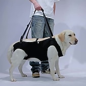 baratos Bolsas de Transporte e Viagem-Cachorros Leash mãos livres Esporte &amp; lazer Animais Portátil Ajustável Respirável Segurança Ao ar livre Esportes Casual / Diário Cachorro