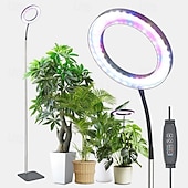 abordables Luces de cultivo para plantas-Luz LED de espectro completo con forma de anillo de ángel de 6 pulgadas para cultivo de plantas, luz solar de escritorio ajustable para plantas de interior, opciones de base de escritorio o suelo, luz