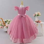 preiswerte Blumenmädchenkleider-Blumenmädchenkleid Mädchen Formelle Kleidung Hochzeitskleidung Party Hochzeit Formell Prinzessin Kleid für die Erstkommunion Pailletten Patchwork Einfarbig Kurze Ärmel Rundhalsausschnitt Blau Rosa Ab