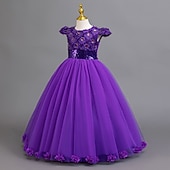abordables Vestidos de Niña de Flores-Vestido de Niña Florista Chica Vestido formal Atuendo de boda Fiesta Boda Formal Moda Adorable Princesa Retazos Malla Color sólido Sin Mangas Cuello Barco Azul Piscina Rosa 4 años +