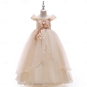 ieftine Rochițele pentru fetița cu flori-Copii Fete Rochie de petrecere Culoare solidă Fără manșon Ocazie specială Zi de Naștere Prințesă Dulce Poliester Maxi Rochie de petrecere Vară Primăvară 4-13 ani Șampaniu Roz Îmbujorat Roșu Vin