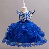 abordables Robes de Fille de Fleurs-Robe de Demoiselle d'Honneur Fille Fille Robe de soirée Tenue de mariage Soirée Mariage Formel Mode Adorable Princesse Patchwork Broderie Fleuri Sans manches Col en V Bleu Champagne 4 ans et +