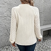 Χαμηλού Κόστους Απλές μπλούζες-Γυναικεία Casual πουκάμισο Πουκάμισο με κουμπιά Μπλούζα γραβάτα μπροστά Δαντέλα Κουμπιά Συμπαγές Χρώμα Καθημερινά Στυλάτο Καθημερινό Μακρυμάνικο Λαιμόκοψη V Όρθιος Γιακάς Κανονικά μπλουζάκια