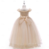 ieftine Rochițele pentru fetița cu flori-Copii Fete Rochie de petrecere Culoare solidă Fără manșon Ocazie specială Zi de Naștere Prințesă Dulce Poliester Maxi Rochie de petrecere Vară Primăvară 4-13 ani Șampaniu Roz Îmbujorat Roșu Vin