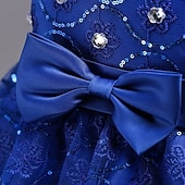 preiswerte Blumenmädchenkleider-Blumenmädchenkleid Mädchen Formelle Kleidung Hochzeitskleidung Party Hochzeit Formell Mode Prinzessin Schön Kleid für die Erstkommunion Netz Einfarbig Ärmellos Rundhalsausschnitt Blau Weiß Ab 4 Jahren