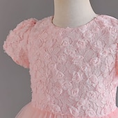 tanie Suknie dla dziewczynki z kwiatami-Sukienka dla dziewczynki z kwiatami Dla dziewczynek Suknia formalna Strój ślubny Impreza Ślub Formalny Godny podziwu Księżniczka Piękny Sukienka do Pierwszej Komunii Niejednolita całość Zamek