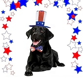  Chat Costume Fête Mode Confortable Extérieur Soirée Halloween Noël Chat