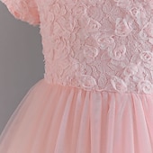 tanie Suknie dla dziewczynki z kwiatami-Sukienka dla dziewczynki z kwiatami Dla dziewczynek Suknia formalna Strój ślubny Impreza Ślub Formalny Godny podziwu Księżniczka Piękny Sukienka do Pierwszej Komunii Niejednolita całość Zamek