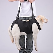baratos Bolsas de Transporte e Viagem-Cachorros Leash mãos livres Esporte &amp; lazer Animais Portátil Ajustável Respirável Segurança Ao ar livre Esportes Casual / Diário Cachorro