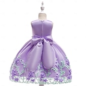 economico Vestiti per serate-Bambini Ragazze Vestito da Festa Tinta unica Senza Maniche Compleanno festa di Natale Ricamato Principessa Dolce Poliestere Midi Vestito da Festa Estate Primavera 4-12 Anni Giallo Rosa Azzurro cielo