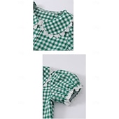  250e jubileum VS 19e eeuw jaren 1800 Prairiejurk Bonnet en schortset Korte mouwen Pionier Meisje Koloniaal Pionier Onafhankelijkheidsoorlog Geruit / Gingham Kostuum Voor meisjes Halloween Carnaval 4
