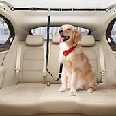 halpa Koiran tarvikkeet matkalle-kuorma-auton lavan koiranhihna kahdelle koiralle, räikkäkiristys säädettävä kaksinkertainen turvallinen kuorma-auton lavan koiranhihnajärjestelmä lava-autoihin, katumaastureihin ja henkilöautoihin