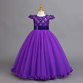 abordables Vestidos de Niña de Flores-Vestido de Niña Florista Chica Vestido formal Atuendo de boda Fiesta Boda Formal Moda Adorable Princesa Retazos Malla Color sólido Sin Mangas Cuello Barco Azul Piscina Rosa 4 años +