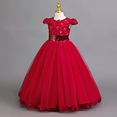 abordables Vestidos de Niña de Flores-Vestido de Niña Florista Chica Vestido formal Atuendo de boda Fiesta Boda Formal Moda Adorable Princesa Retazos Malla Color sólido Sin Mangas Cuello Barco Azul Piscina Rosa 4 años +