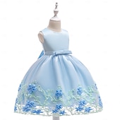 economico Vestiti per serate-Bambini Ragazze Vestito da Festa Tinta unica Senza Maniche Compleanno festa di Natale Ricamato Principessa Dolce Poliestere Midi Vestito da Festa Estate Primavera 4-12 Anni Giallo Rosa Azzurro cielo