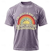  Καλοκαιρινές διακοπές, είμαι απλώς μια αχτίδα σαρκαστικού ήλιου, αστείο μπλουζάκι με ορυκτό πλύσιμο, vintage ρετρό, ουράνιο τόξο, ήλιος, μπλε, μείγμα βαμβακιού, κοντομάνικο γραφικό μπλουζάκι, ρούχα,