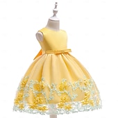 economico Vestiti per serate-Bambini Ragazze Vestito da Festa Tinta unica Senza Maniche Compleanno festa di Natale Ricamato Principessa Dolce Poliestere Midi Vestito da Festa Estate Primavera 4-12 Anni Giallo Rosa Azzurro cielo